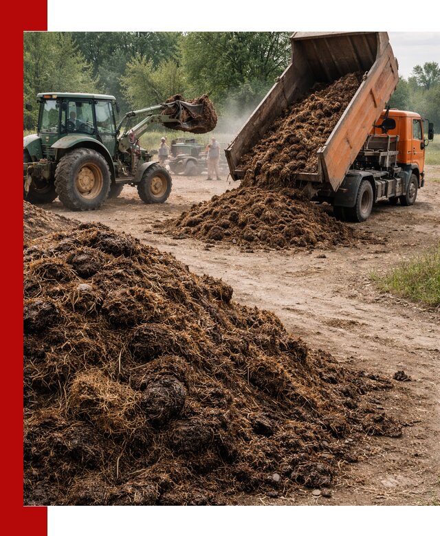 Доставка навоза самосвалами в Учалах для сельхозпотребностей